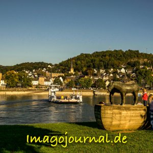 Linz am Rhein, Fähre und Treidelpferde